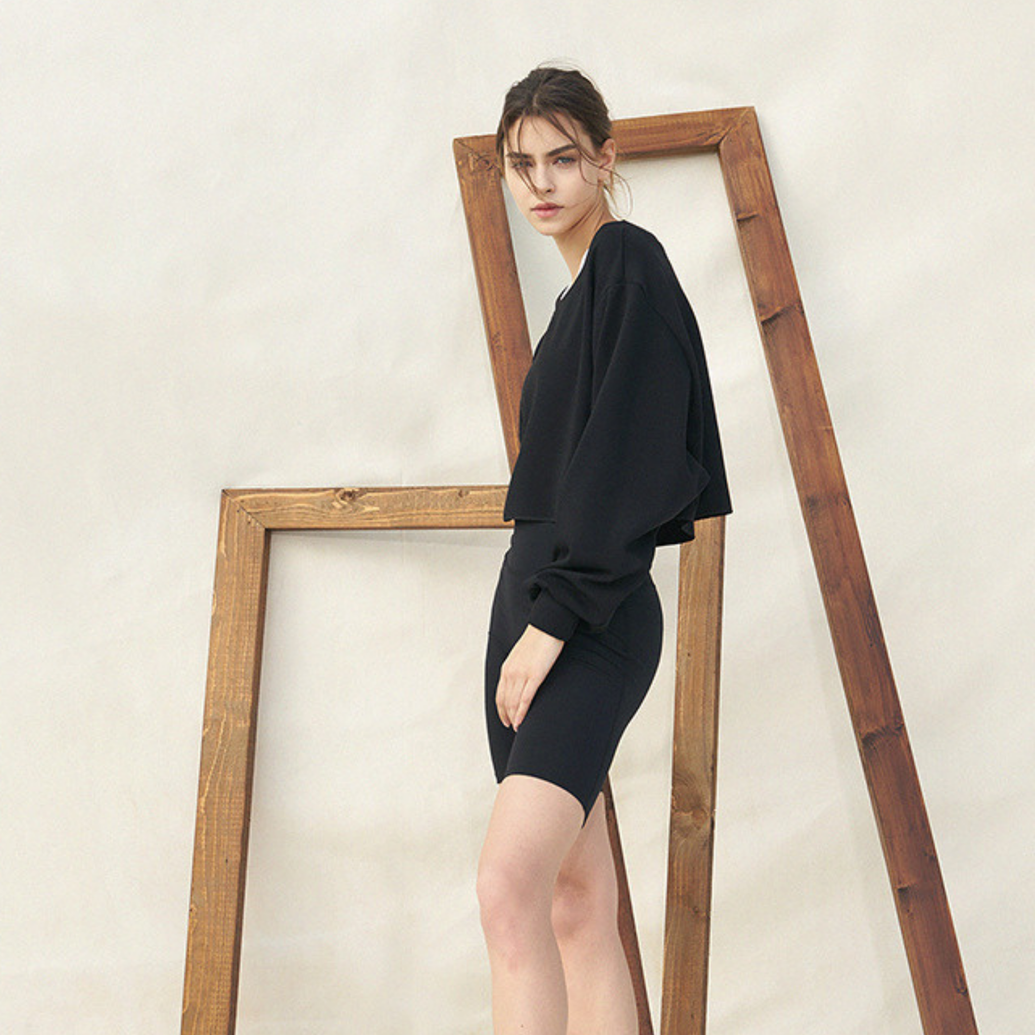 ドルマントレーナー